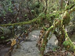 -牛鱼嘴原始生态风景区