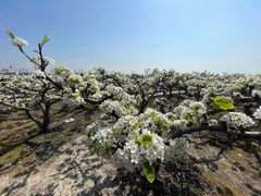 -梁鸿国家湿地公园