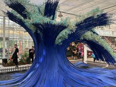 -上海鲜花港