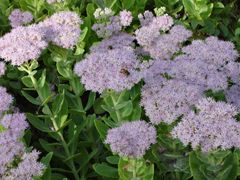 android_upload_pic-沈阳中山公园