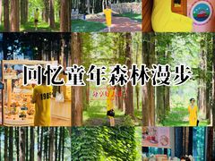 -日照海滨国家森林公园