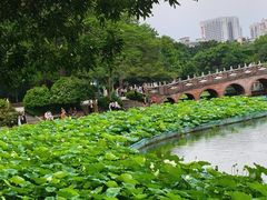 -荔湾湖公园