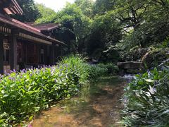 -中国茶叶博物馆(双峰馆区)