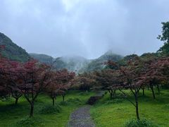 -五泄景区