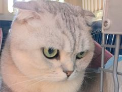 -pd派德宠物中心医院24H急重症·眼科中心·血液透析中心(嵩山北路店)