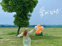 -山明水秀大饭店