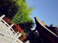 -曲江惠宾苑宾馆(大雁塔大唐不夜城店)