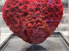 -ROSEONLY诺誓(国际广场购物中心店)