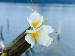-丽江泸沽湖景区