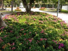 -揭东万竹园旅游景区