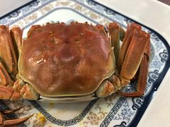 -小陆莲花蟹园农家乐(莲花岛店)