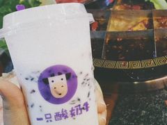 -一只酸奶牛(八一路店)