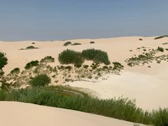 -库伦旗银沙湾旅游景区