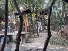 -观唐（国际）度假村温泉