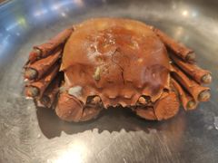 阳澄湖大闸蟹-盒马鲜生(皇庭广场店)