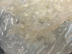 -联邦酒楼