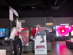-Sony Store索尼(深圳深业上城店)