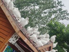 -天津妈祖文化园