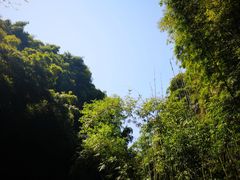 -川西竹海景区
