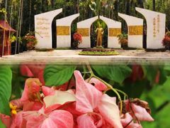 -中国科学院西双版纳热带植物园