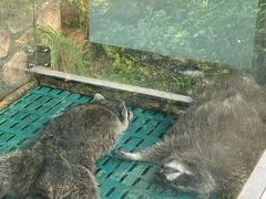 -珠海海泉湾神秘岛亲子乐园