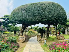 -南宁南湖公园