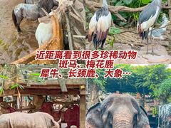 -长鹿旅游休博园