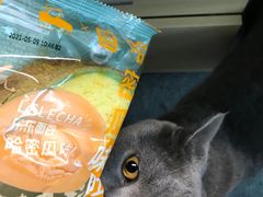 -喜茶(迪士尼小镇DP店)