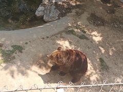 -石家庄市动物园