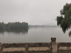 -鲁镇