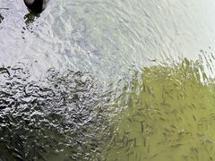 -珠海圆明新园