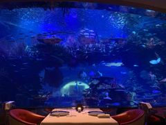 -迪拜帆船酒店海底餐厅