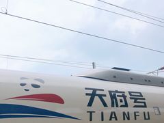 -徐老幺奶汤面