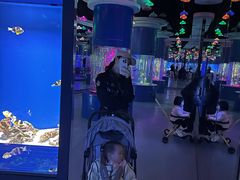 -重庆欢乐海底世界