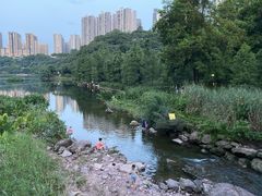 -重庆彩云湖湿地公园