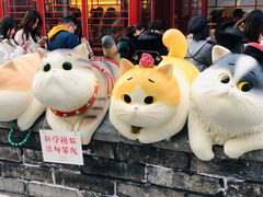 -毛辣果·贵州红酸汤牛肉火锅(西单店)
