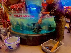 -魏铭鱼头捞饭(晋阳路店)