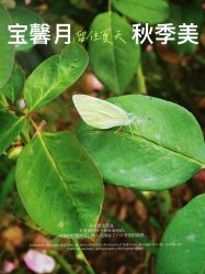 -宝馨月月子中心(友谊医院店)