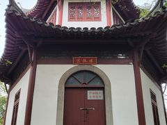 -上海佘山国家森林公园天马山园