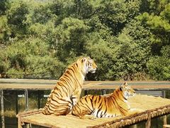 -云南野生动物园