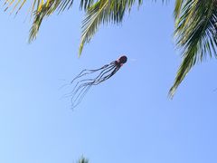 -万绿园