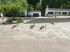 -燕郊植物园