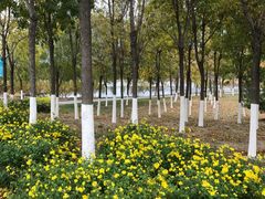 -永定河休闲森林公园