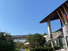 -思念果岭悦温泉