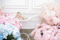 -首尔宝宝SEOUL  BABY STUDIO(通州店)