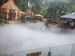 -二荆条·蜀鲜汇城市森林火锅