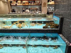 -国惠大酒楼(爱琴海购物公园店)