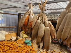 -西双版纳基诺山寨