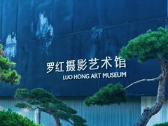 -罗红摄影艺术馆