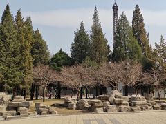 -北京世界公园